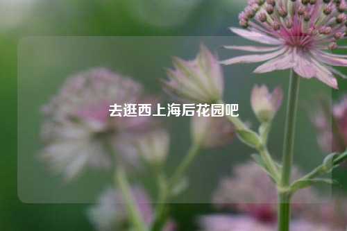 去逛西上海后花园吧